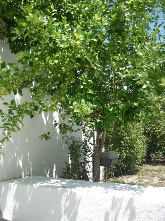 Casa Da Terra Villa Góis Cameră foto